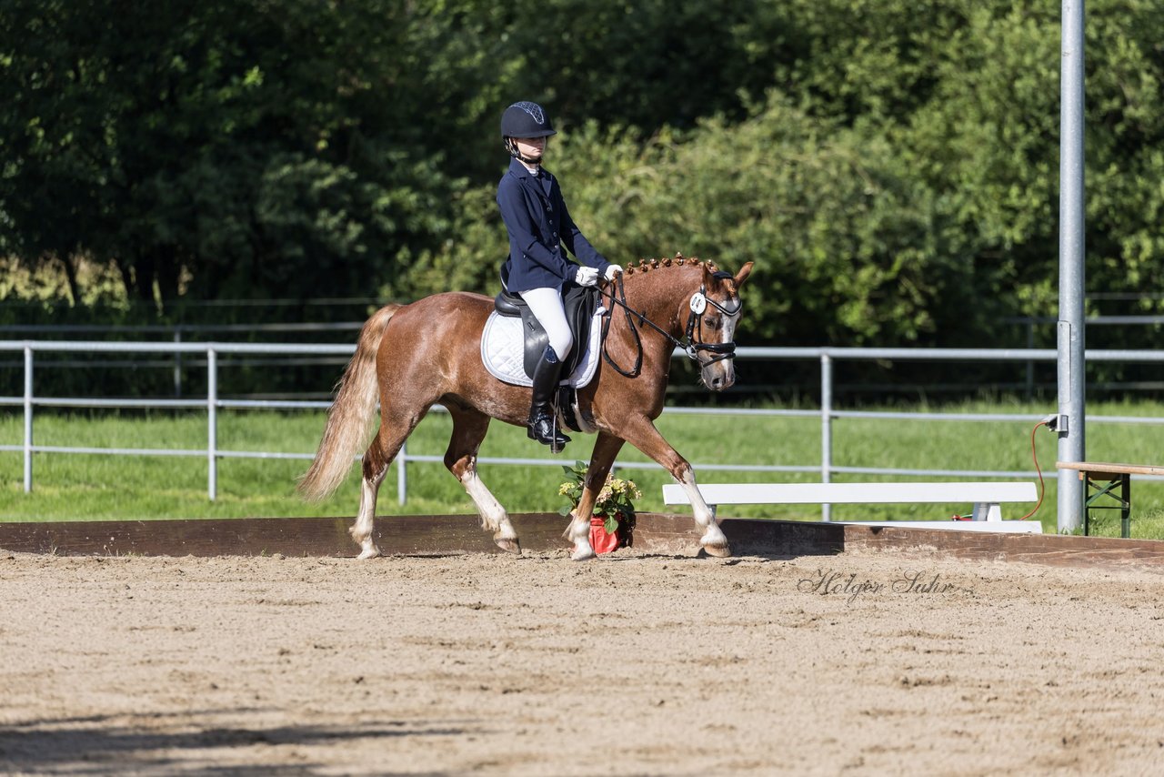 Bild 293 - Pony Akademie Turnier